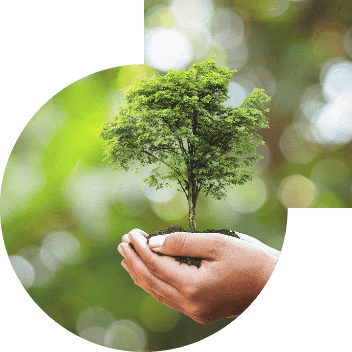 关怀人类、、、、文化、、、、环境与社会