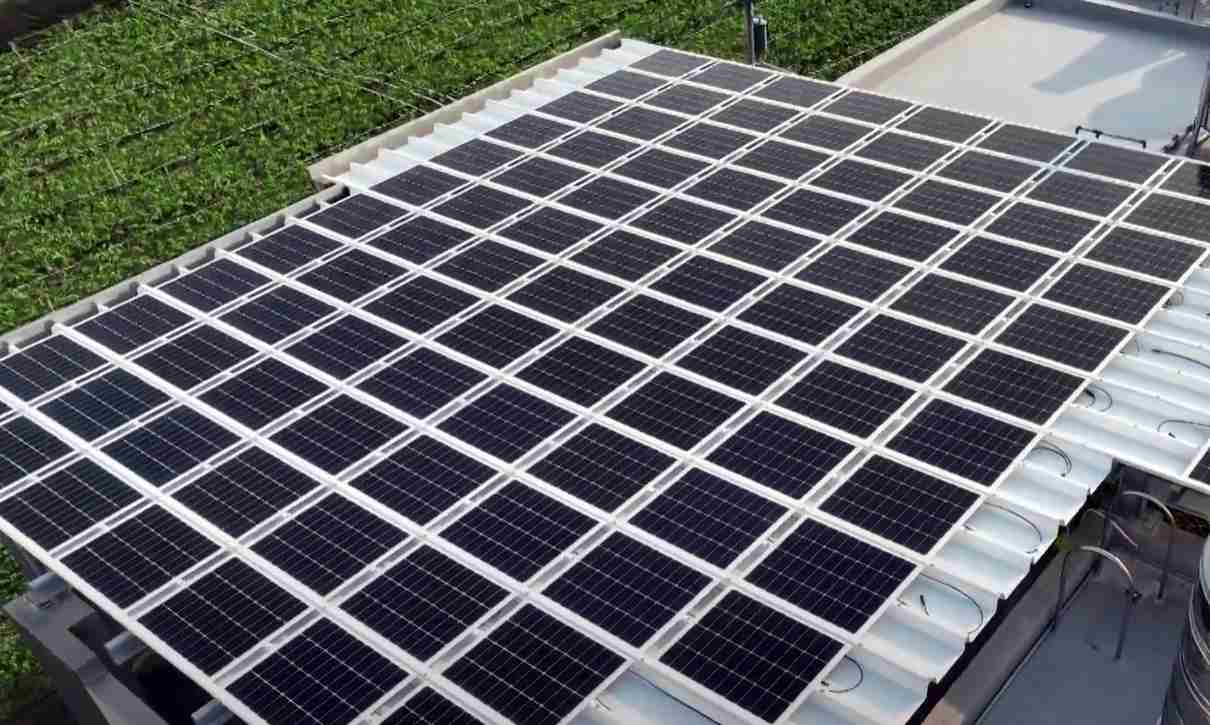 优游UB8SunSteel光电浪板升级双玻结构，，以提升机械负载强度及气候耐候度，，，可广泛运用于多元场域